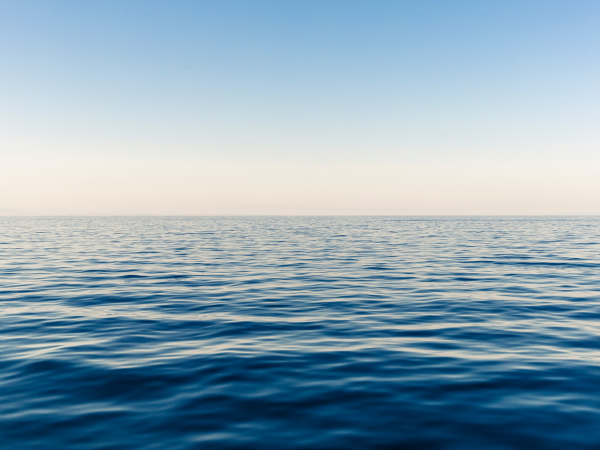 World Oceans Day: Brands Protecting Our Oceans