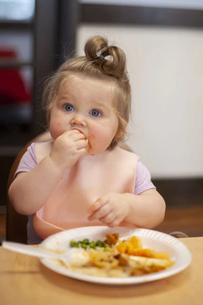 From Breakfast to Dinner: Foods for Toddlers