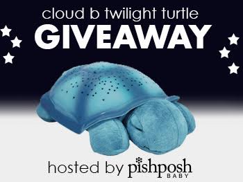 Win a Cloud B Twilight Turtle!